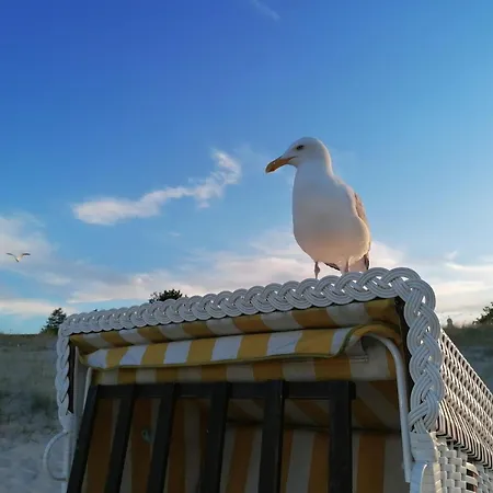 公寓 Sonnenschein App. 8 塞巴特黑灵斯多夫